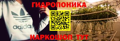 jwh Пыть-Ях