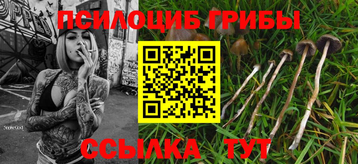 Галлюциногенные грибы мухоморы Нягань