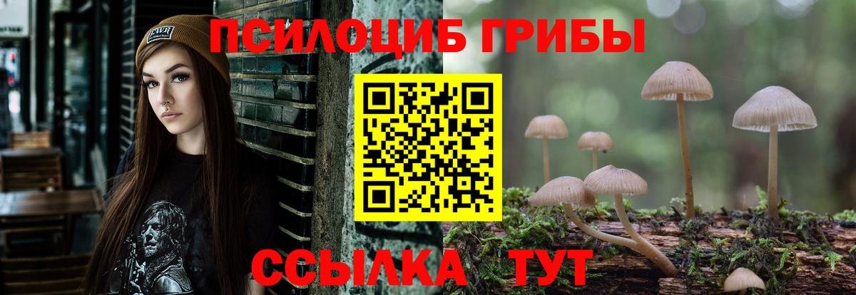 Нягань  Псилоцибиновые грибы Psilocybine cubensis  Галлюциногенные грибы Psilocybine cubensis  где найти   Вход с VPN 