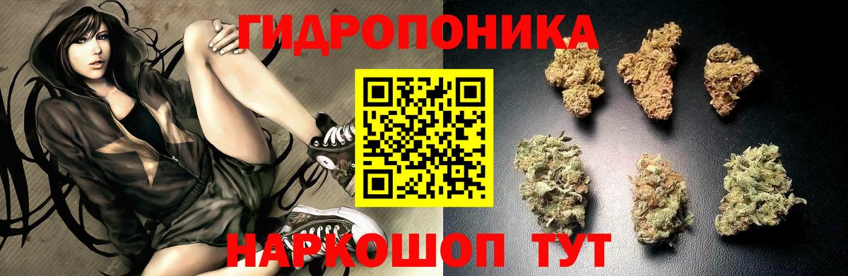Шишки марихуана ГИДРОПОН  Каннабис MAZAR  Каннабис индика  Бошки марихуана MAZAR  Нягань  Вход с VPN 